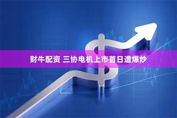 财牛配资 三协电机上市首日遭爆炒