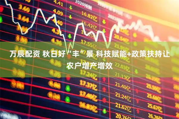 万辰配资 秋日好“丰”景&#32;科技赋能+政策扶持让农户增产增效