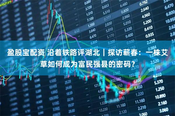 盈股宝配资 沿着铁路评湖北｜探访蕲春：一株艾草如何成为富民强县的密码？