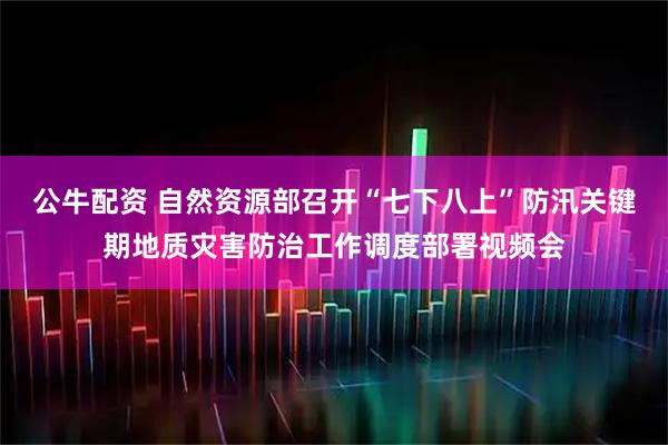 公牛配资 自然资源部召开“七下八上”防汛关键期地质灾害防治工作调度部署视频会
