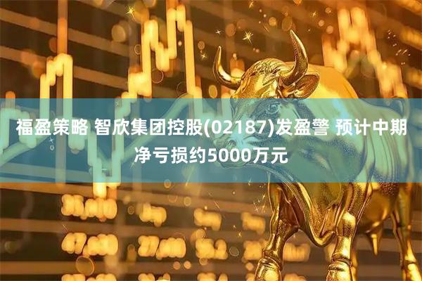 福盈策略 智欣集团控股(02187)发盈警 预计中期净亏损约5000万元