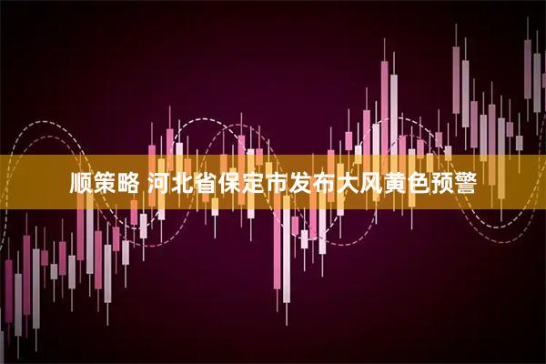 顺策略 河北省保定市发布大风黄色预警