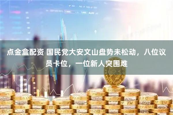 点金盒配资 国民党大安文山盘势未松动，八位议员卡位，一位新人突围难